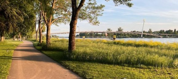 3-salle Duplex à Ortenaukreis, Germany No. 267193 13