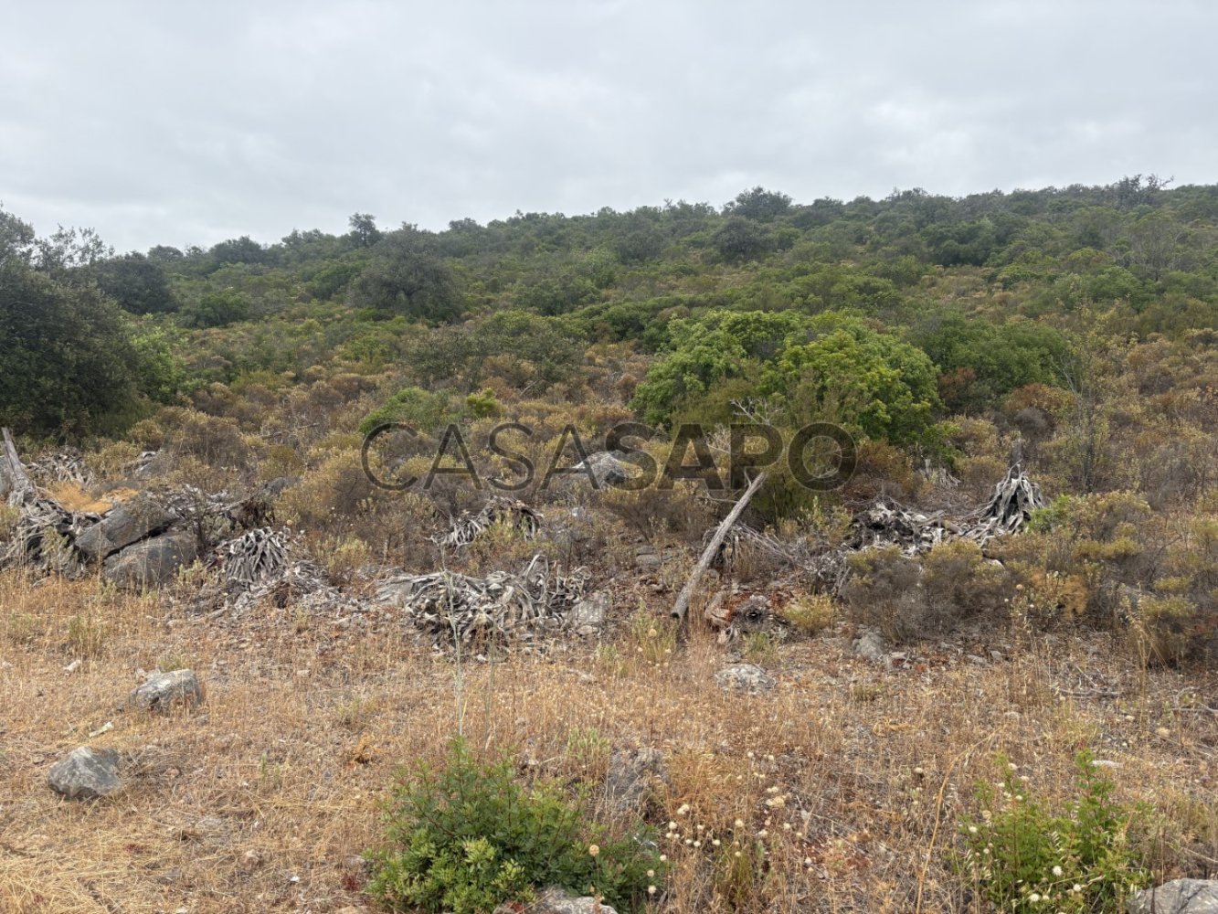  Land in Salir, Portugal No. 303521