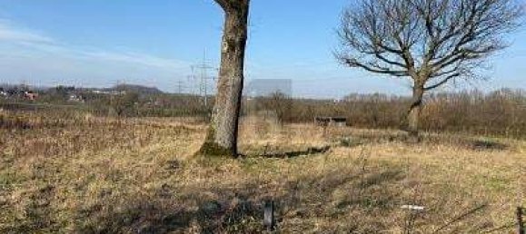 Terreno em Dortmund, Germany 7734 m² N.º 231758 4