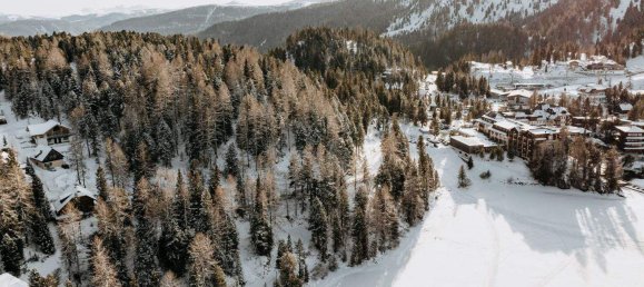 Земельный участок в Райхенау, Австрия № 107285 5