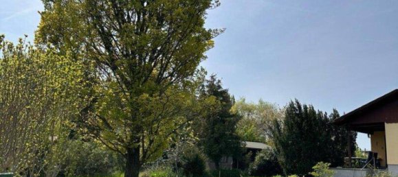 Земельный участок в Вена, Австрия № 212634 3