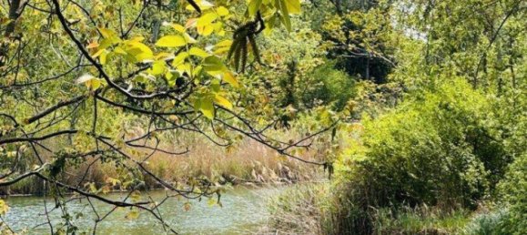 Земельный участок в Вена, Австрия № 212634 2