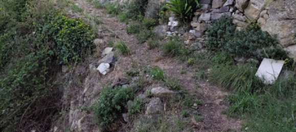 40m² Land in Bellegra, Italy No. 296952 3