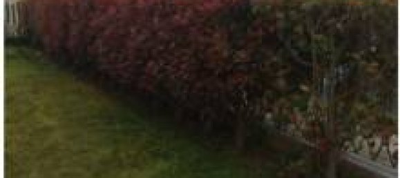 6 bedrooms Apartment in Carinola, Italy No. 96918 8