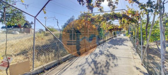 4 bedrooms House in Altura, Portugal No. 61955 47