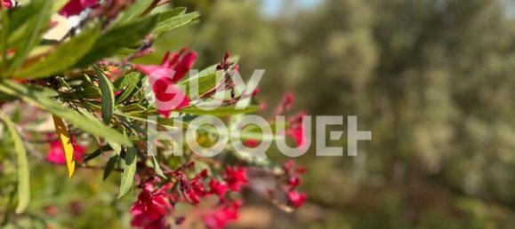 4 bedrooms House in Marseille, France No. 342600 3