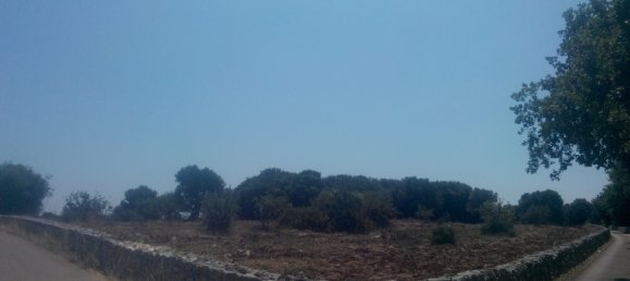 Terreno em Carovigno, Italy 30000 m² N.º 72536 6