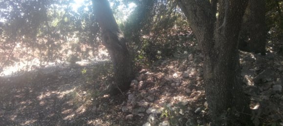 Terreno em Carovigno, Italy 30000 m² N.º 72536 5