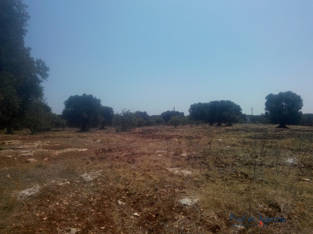 Terreno em Carovigno, Italy 30000 m² N.º 72536