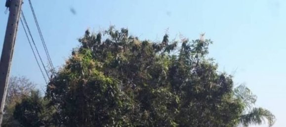  Commercial property in Pa Sang, Thailand No. 16914 6