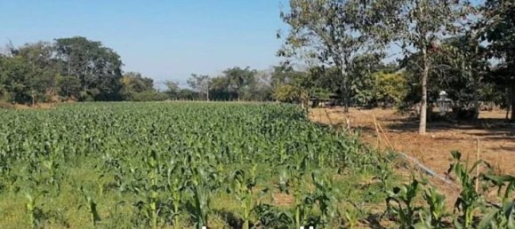  Commercial property in Pa Sang, Thailand No. 16914 10