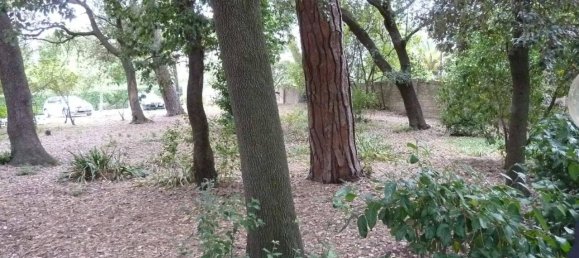 Квартира с 6 комнатами в Фальконара Мариттима, Италия № 76297 8