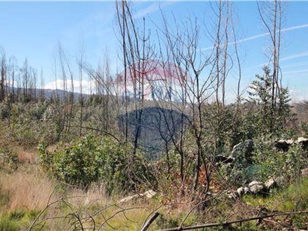 Земельный участок 14000м² в Оливейра ди Фрадиш, Португалия № 37950