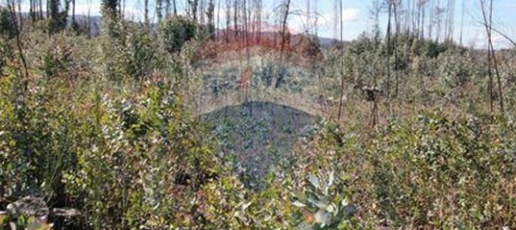 Земельный участок 14000м² в Оливейра ди Фрадиш, Португалия № 37950 2