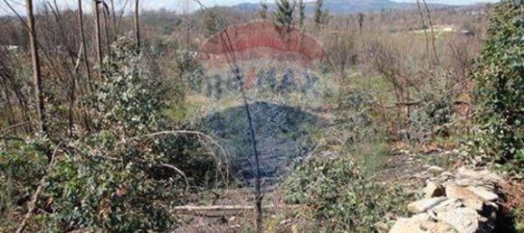 Земельный участок 14000м² в Оливейра ди Фрадиш, Португалия № 37950 3