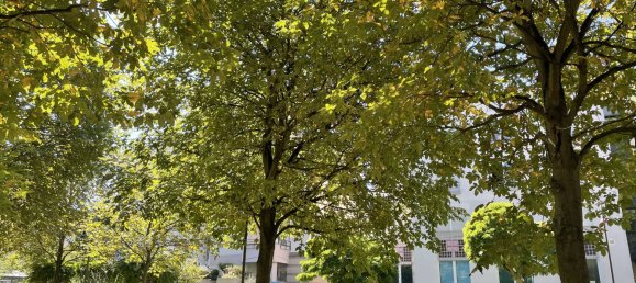 1 bedroom Apartment in Mainz, Germany No. 322307 7