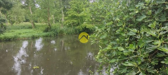 Casa T2 em Jouet-sur-l'Aubois, France N.º 265093 20