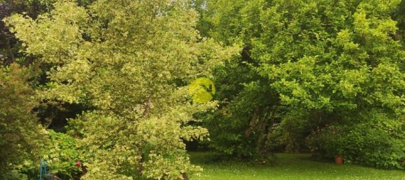 Casa T2 em Jouet-sur-l'Aubois, France N.º 265093 18