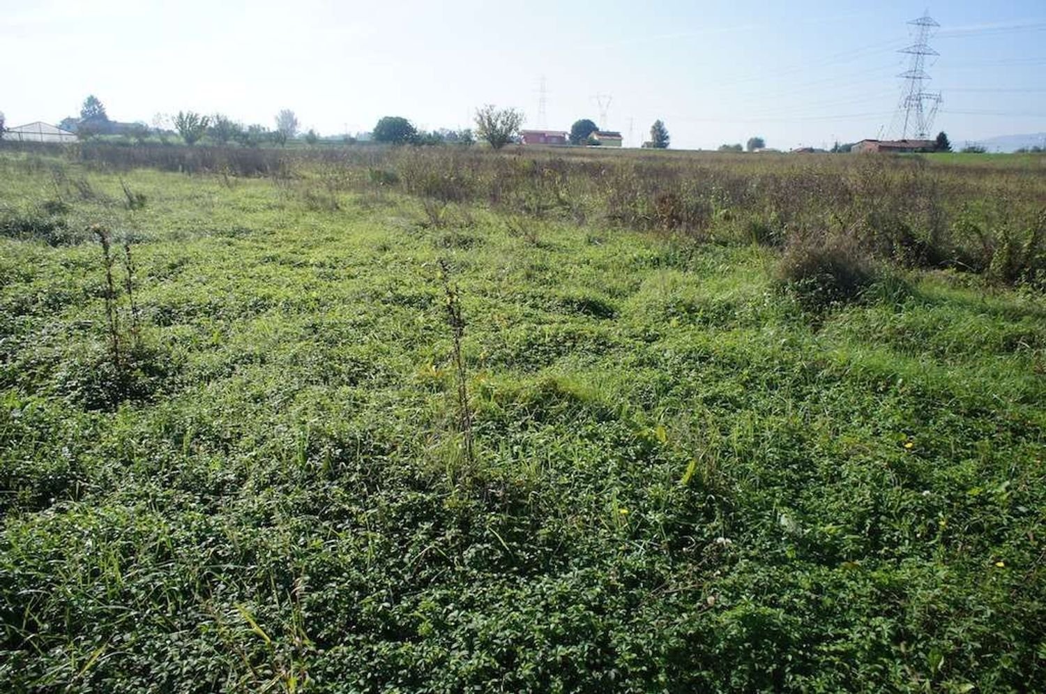 Земельный участок 20000м² в Пеша, Италия № 75626