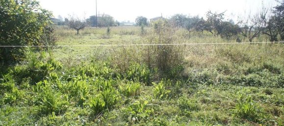 Земельный участок 20000м² в Пеша, Италия № 75626 7