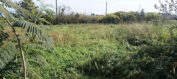 Земельный участок 20000м² в Пеша, Италия № 75626 8