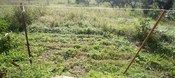 Земельный участок 20000м² в Пеша, Италия № 75626 6