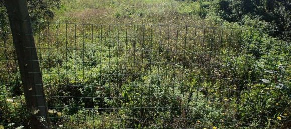 Земельный участок 20000м² в Пеша, Италия № 75626 5