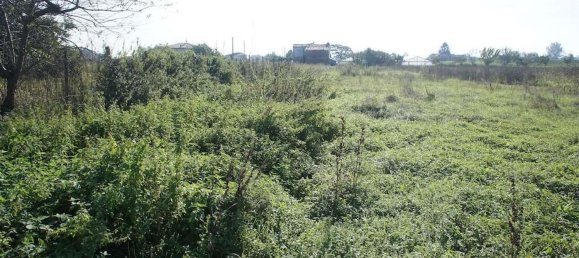 Земельный участок 20000м² в Пеша, Италия № 75626 3