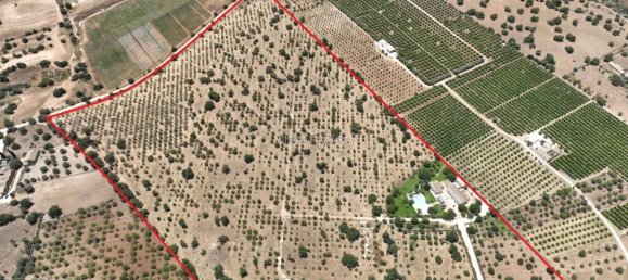 10غرفة فيلا في Noto, Italy رقم 232718 41