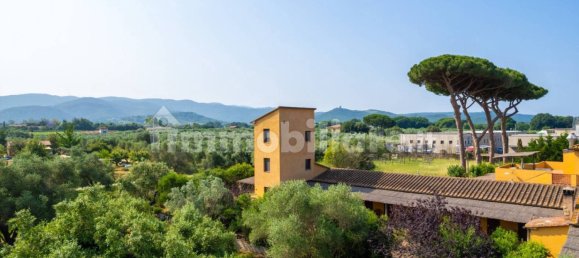 5-salle Propriété commerciale à Castagneto Carducci, Italy No. 308212 43