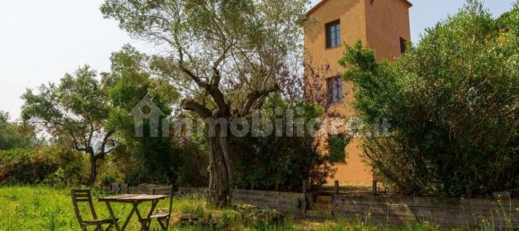 5-salle Propriété commerciale à Castagneto Carducci, Italy No. 308212 62