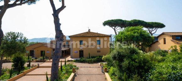 5-salle Propriété commerciale à Castagneto Carducci, Italy No. 308212 48