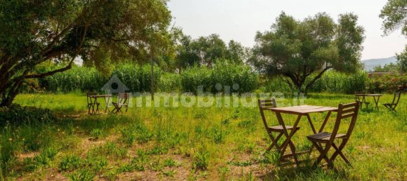 5-salle Propriété commerciale à Castagneto Carducci, Italy No. 308212 60