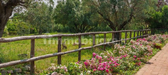 5-salle Propriété commerciale à Castagneto Carducci, Italy No. 308212 58