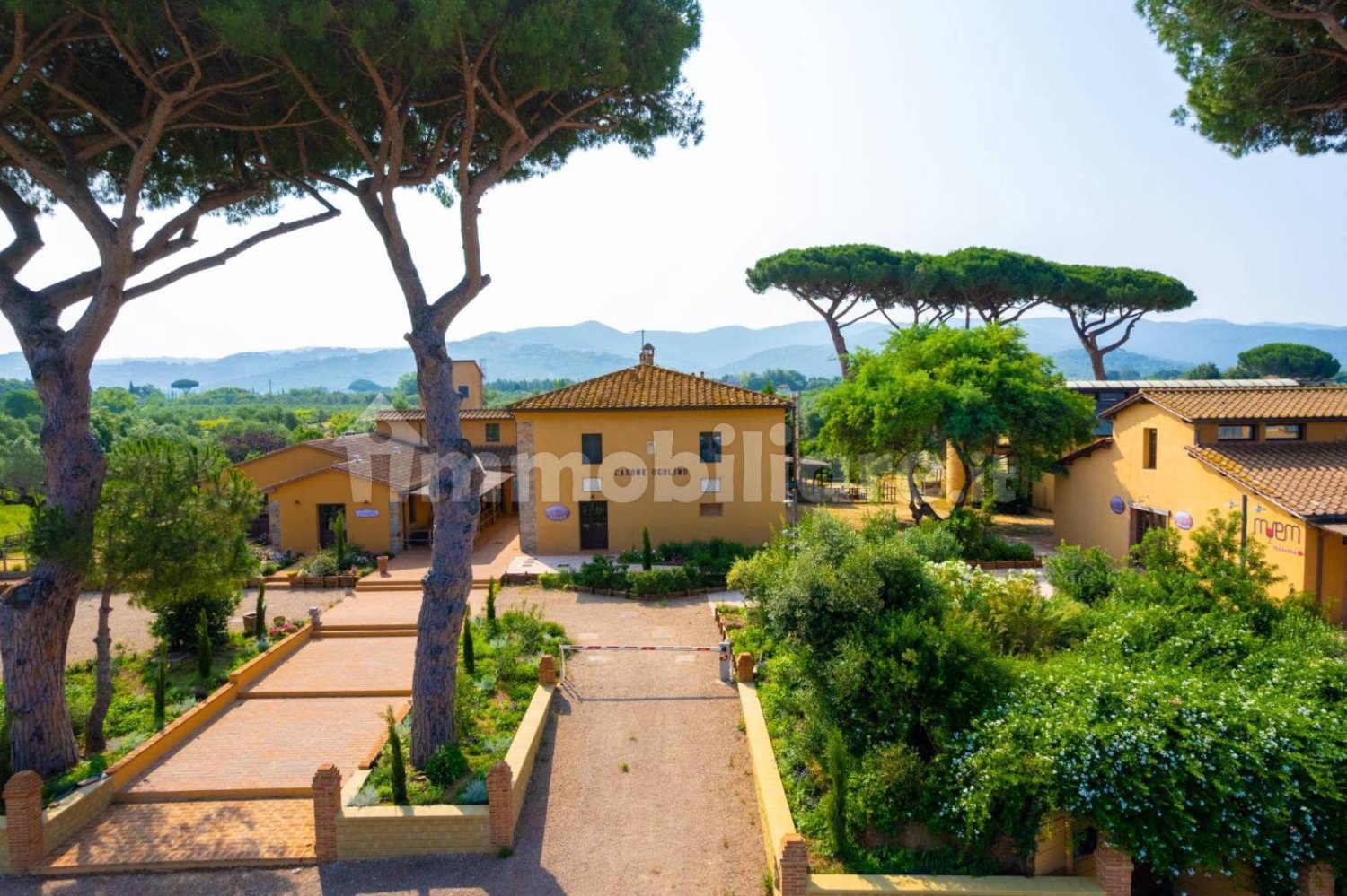 5-salle Propriété commerciale à Castagneto Carducci, Italy No. 308212