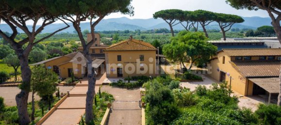5-salle Propriété commerciale à Castagneto Carducci, Italy No. 308212 46