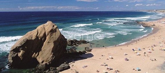 24250m² Land in Mafra, Portugal No. 81412 13