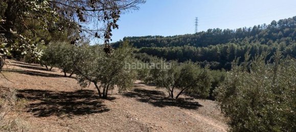 26000m² Land in Albolote, Spain No. 108061 11