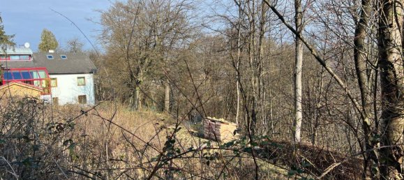  Land in Penzing, Austria No. 40256 4