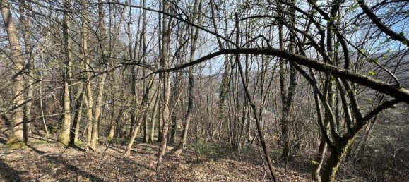  Land in Penzing, Austria No. 40256 3