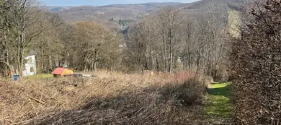  Land in Penzing, Austria No. 40256 8