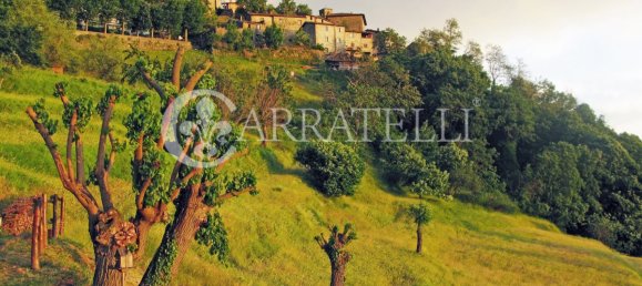 7 bedrooms House in Pieve Fosciana, Italy No. 175516 21