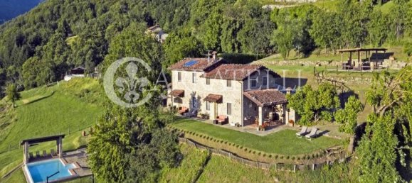 7 bedrooms House in Pieve Fosciana, Italy No. 175516 26