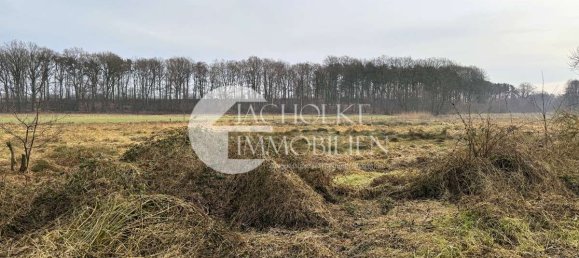 3 غرف نوم مزرعة في Uelzen, Germany رقم 164032 24