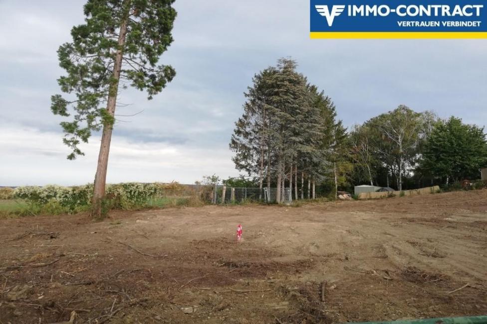  Land in Steinbrunn, Austria No. 39244