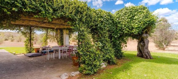 4 bedrooms Villa in Carpignano Salentino, Italy No. 313176 4