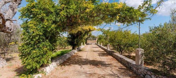 4 bedrooms Villa in Carpignano Salentino, Italy No. 313176 29