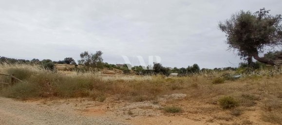 Grundstück in Guia, Portugal 101520m², Nr. 10085 3