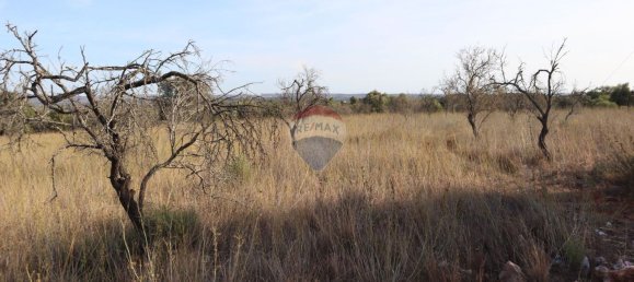 قطعة أرض في Sao Bartolomeu de Messines, Portugal 34640متر مربع رقم 35996 2