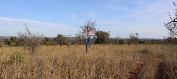 قطعة أرض في Sao Bartolomeu de Messines, Portugal 34640متر مربع رقم 35996 3